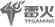 TFGaming